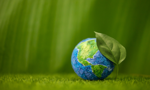 ISEP – Environmental Sustainability Skills for the Workforce