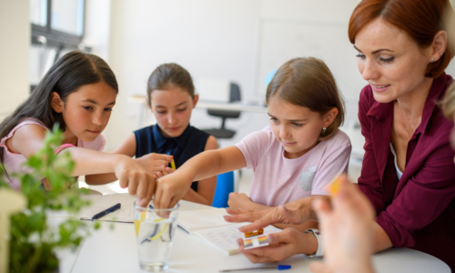 Pre and Primary Teacher Training