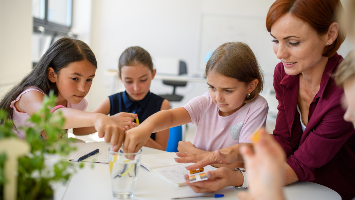 Pre & Primary Teachers Training Course